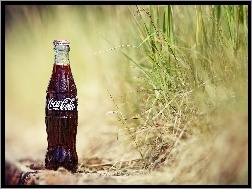 Trawa, Butelka, Coca Cola